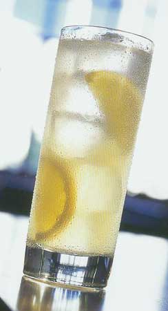 GINN FIZZ