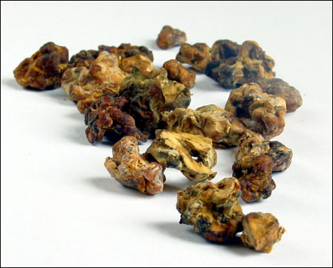 Չորացած սունկ