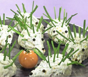 Կաթնաշոռից ոզնիներ