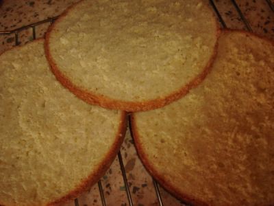 Տորթ Համովիկ