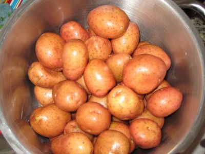 Կարտոֆիլ Սունկ