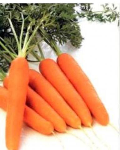Իտալական Ուտեստ